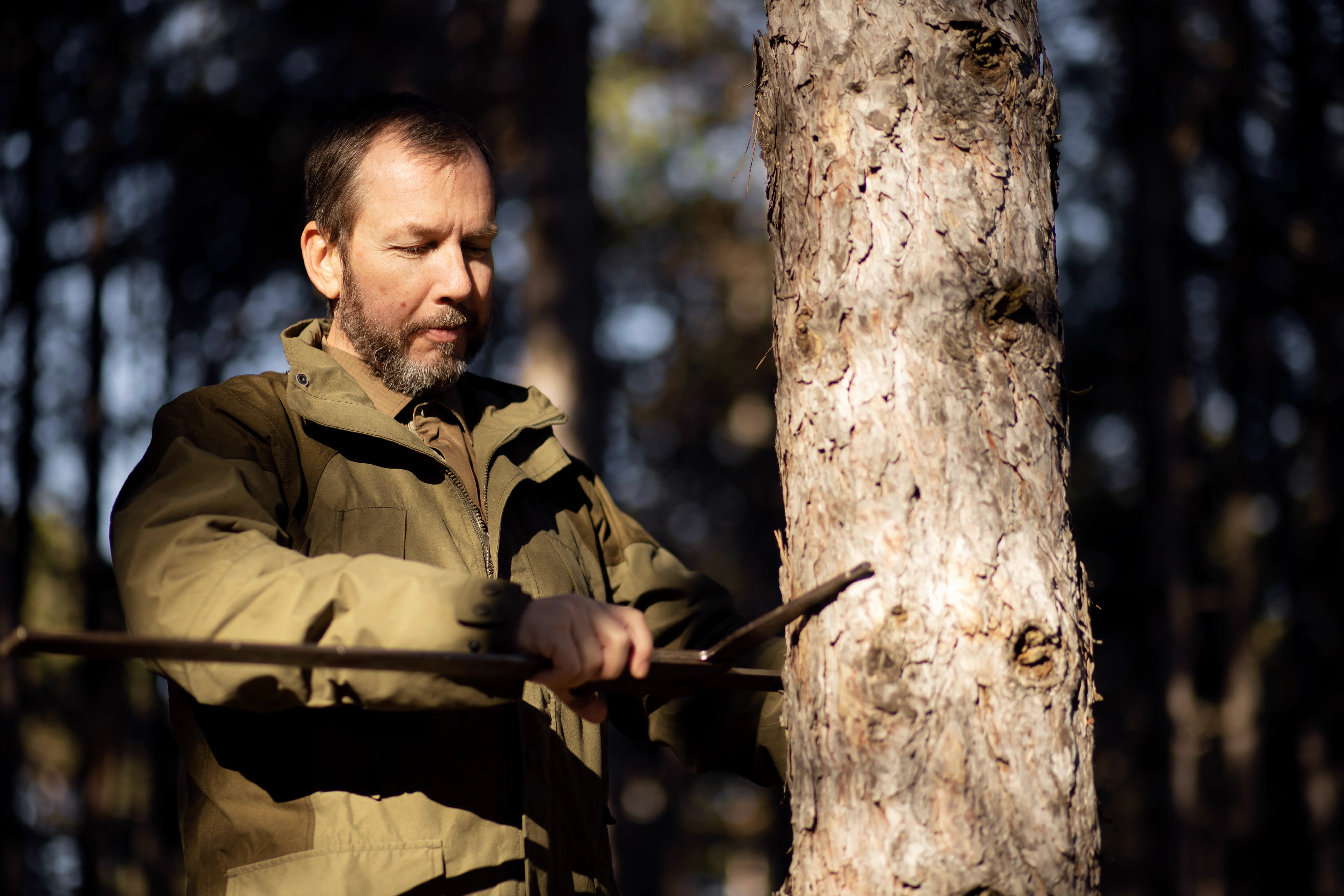 The Hidden Dangers of Unmanaged Trees across London and Kent